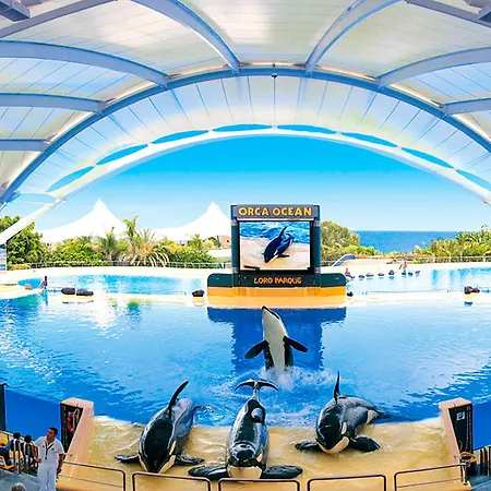 Hotel Adonis Plaza 3*