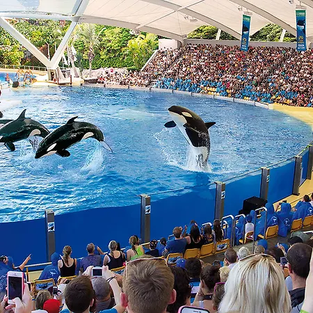 Hotel Adonis Plaza 3*