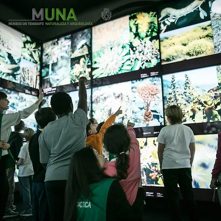 Adonis Plaza 3* סנטה קרוז דה טנריף