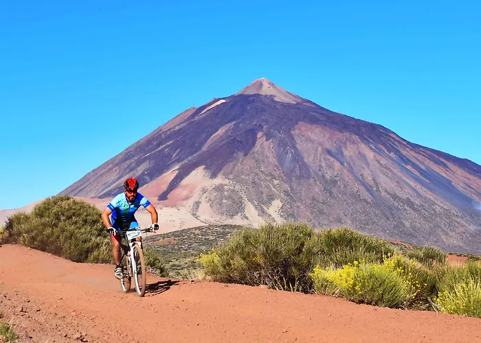 Отель Adonis Plaza 3*