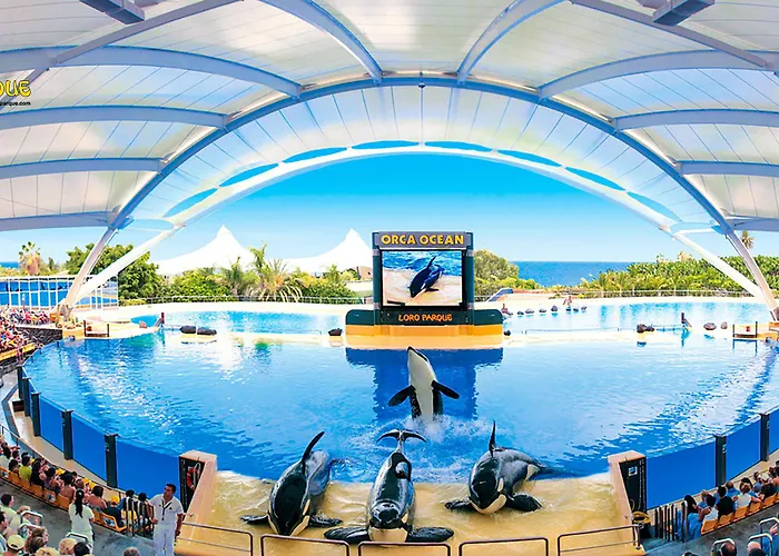 Отель Adonis Plaza 3*