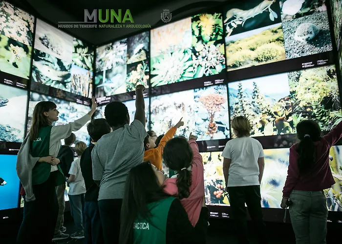 Adonis Plaza 3* Santa Cruz de Tenerife