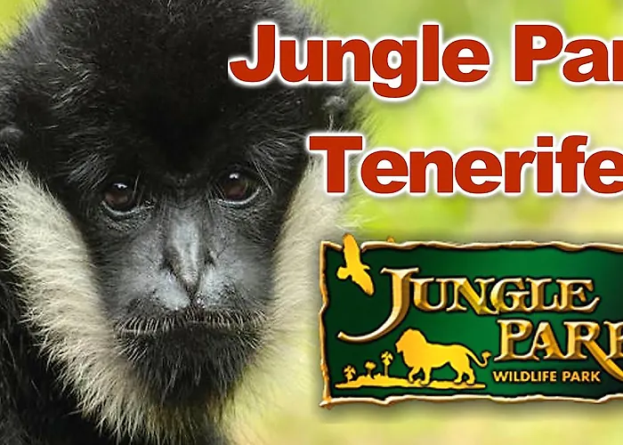 Adonis Plaza Szálloda Santa Cruz de Tenerife