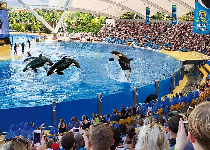 Szálloda Adonis Plaza 3*